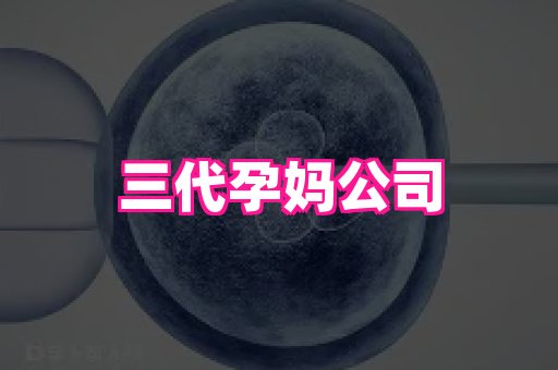 武汉助孕网站 2